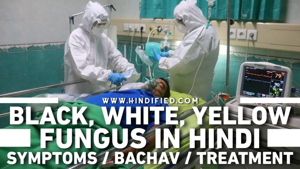 Yellow Fungus in Hindi, Yellow Fugus Symptoms in Hindi, Yellow Fungus Ke Lakshan, Yellow Fungus Kya Hai, Yellow Fungus Treatment in Hindi, Yellow Fungus Se Kaise Bache, Black Fungus in Hindi, Black Fugus Symptoms in Hindi, Black Fungus Ke Lakshan, Black Fungus Kya Hai, Black Fungus Treatment in Hindi, Black Fungus Se Kaise Bache, White Fungus in Hindi, White Fugus Symptoms in Hindi, White Fungus Ke Lakshan, White Fungus Kya Hai, White Fungus Treatment in Hindi, Black Yellow White Fungus, White Fungus Se Kaise Bache